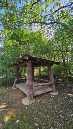 2025년 이맥스솔루션의 ERP 시장 전략적 접근방안