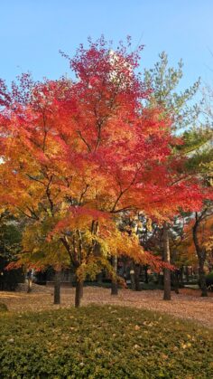 중소기업 ERP = 다 SaaS로 간다?